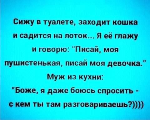 FB IMG 16269039302252339