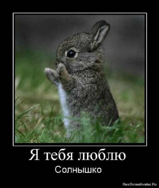 Я ТЕБЯ ЛЮБЛЮ СОЛНЫШКО
