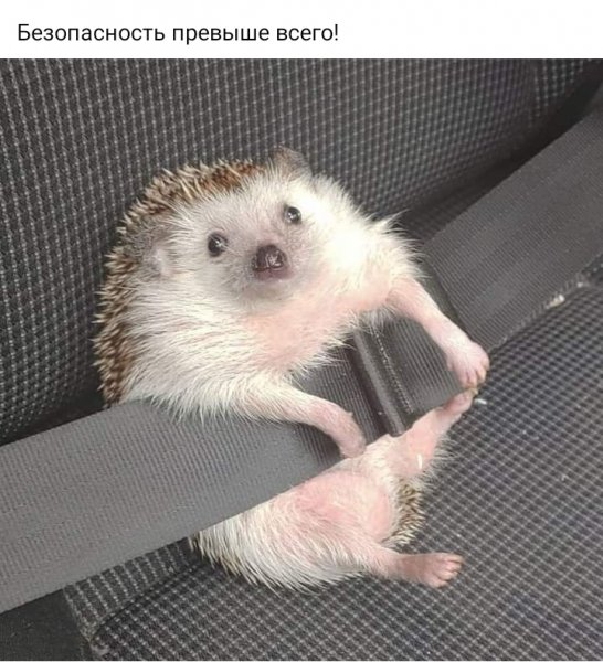 Безопасность