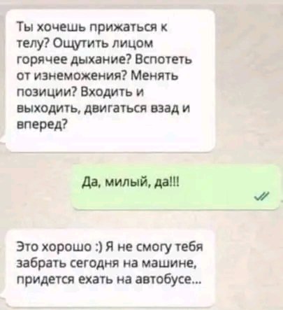 file_97795818