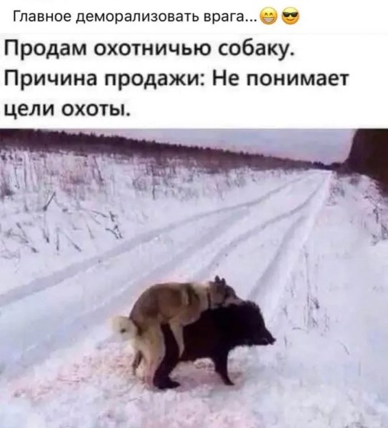 Screenshot 20260307-193038