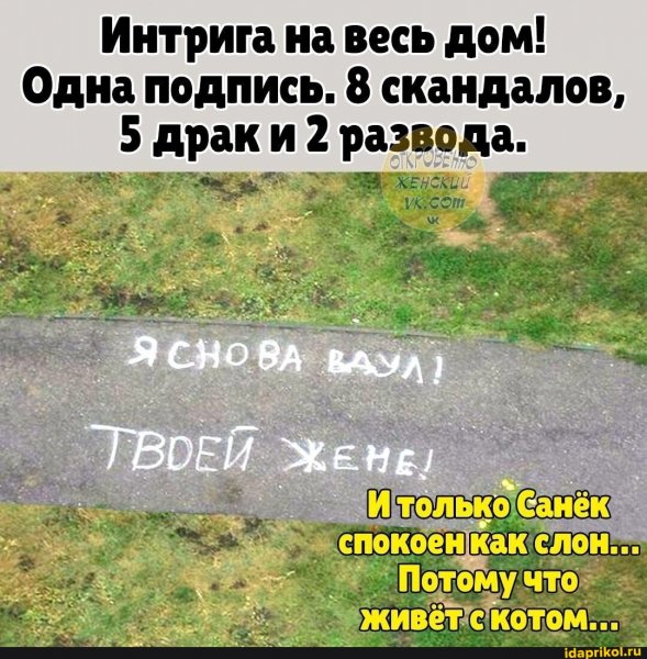 Cf843104dd3c8a33de4b21ffe71a62ca20cd3894029f 1