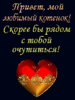 f569d07fe0a74f87d2cfff52a5383b08