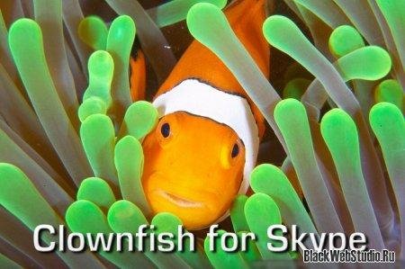 Clownfish