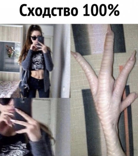 IMG 20260410 225452