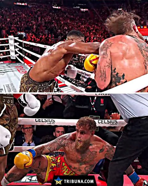 FB IMG 1766213245559