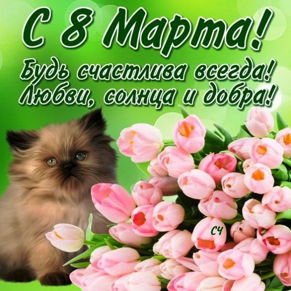 С 8 марта (4)
