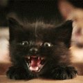 e83d2c
