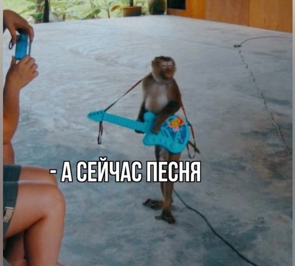 Песня