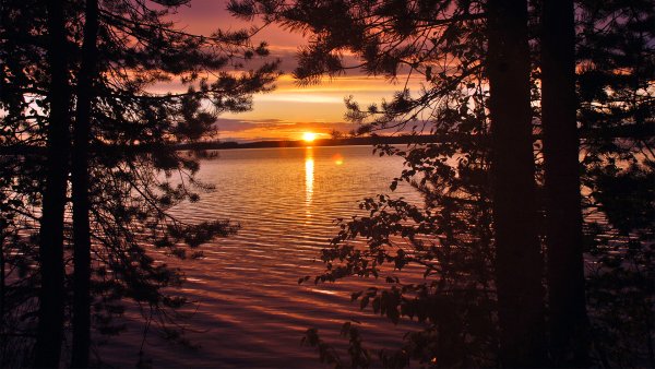 Красоты родной природы 4 25