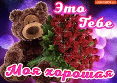 К5.799c35b7fa9946e1611471dd280bac4f