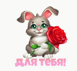 4ca260af300e4100687d7e37eee49a27