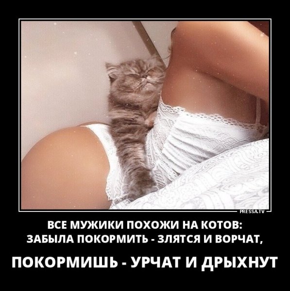 file_77261994