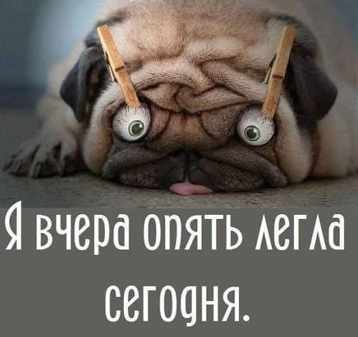 FB IMG 1780128684255