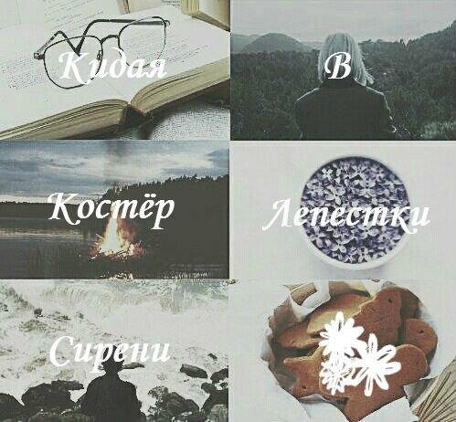 Кидая в костёр лепестки сирени