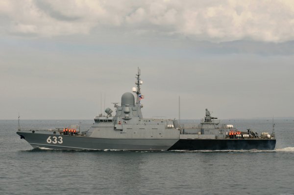 IMG viter59 633 karakurt