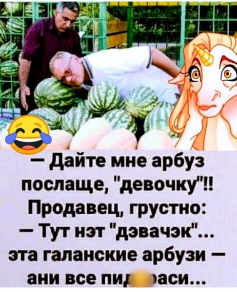 file_97779616
