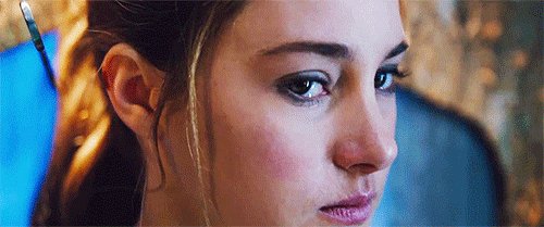 Дивергент (8)