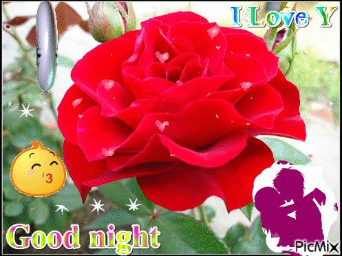 GM ILY