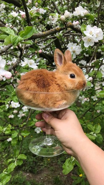 IMG 20240523 043616 924