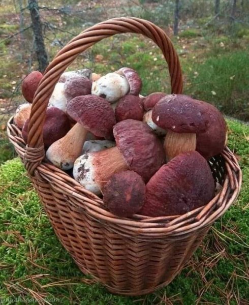 FB IMG 1715016470226