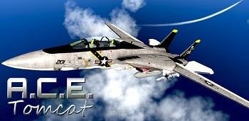 A C E Tomcat