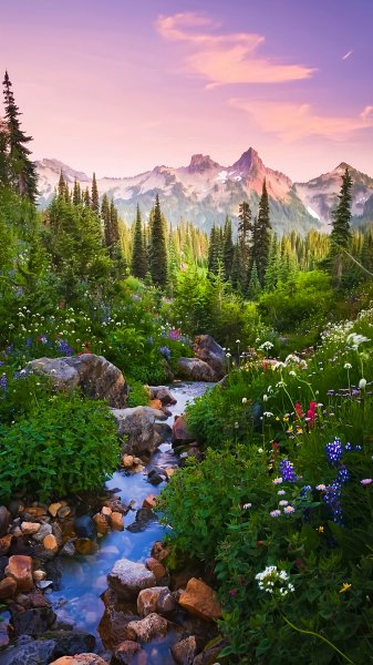 Magic-landskape-nature-green-forest-031024