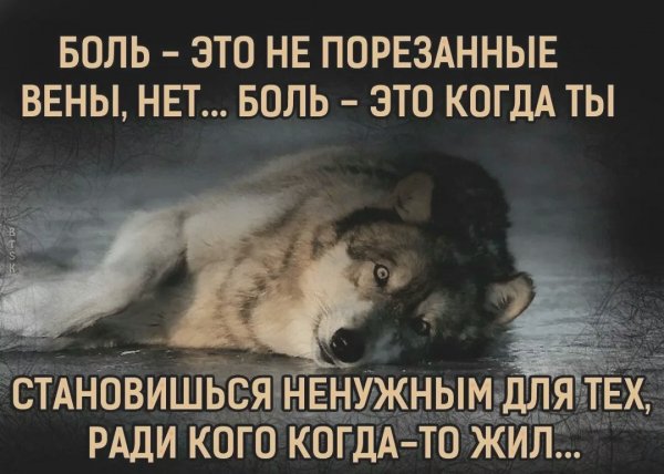 file_102236407