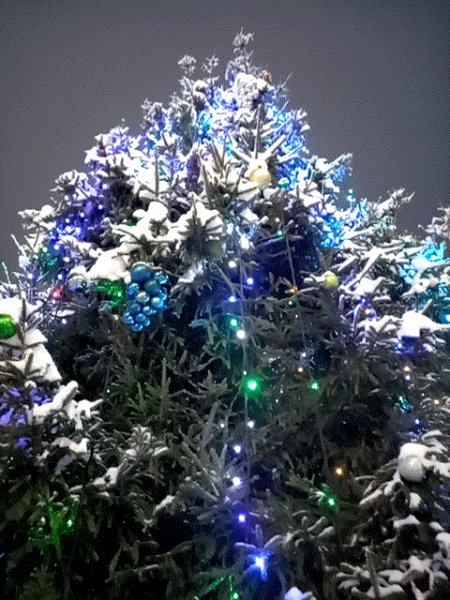 Небеса и ёлочка