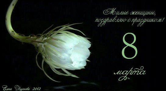 8 марта
