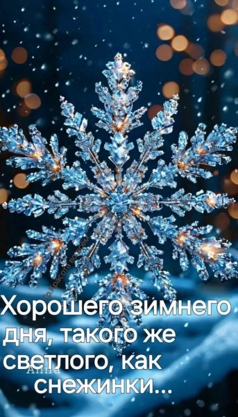 IMG 20251217 141340