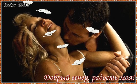 добрый вечер 084037