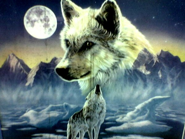 0 130464 8d70888e XL