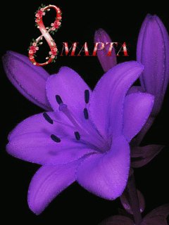 file_67713165