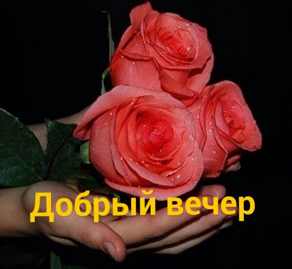 2PKOrcQaYW0