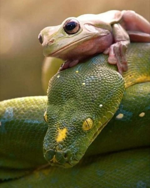 a985ddf0acf9ea1ec12c6b