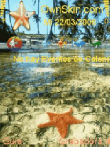 theme17469 1