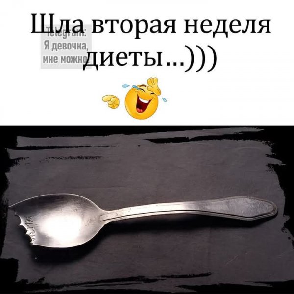 FB IMG 1734199096362