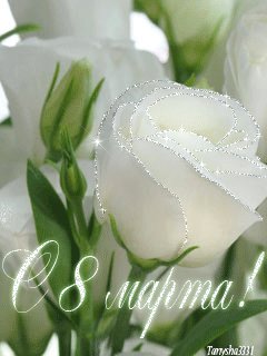 file_14193529