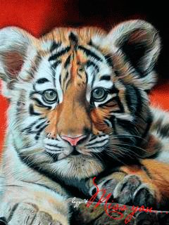 file_53456948