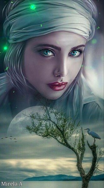 e9b14ec2c7d95d31e2e47f9a383e0c40