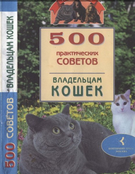 советов владельцам Кошек