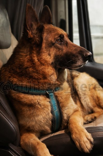 RDFYGDDUKJGYJKBDGBVH