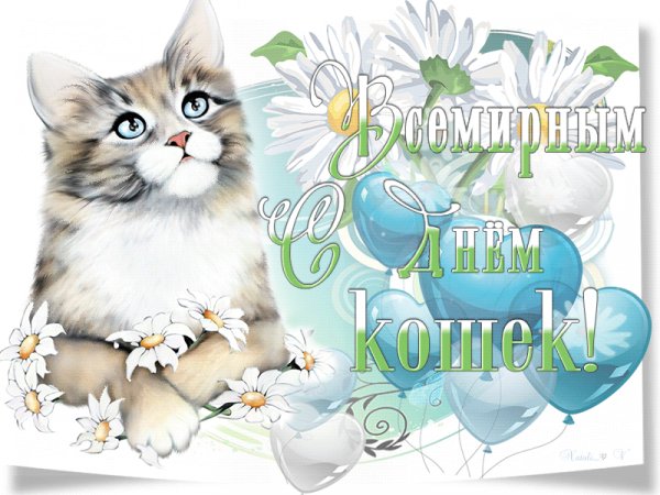 file_94250824