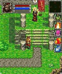 Diablo2 rus 176x220