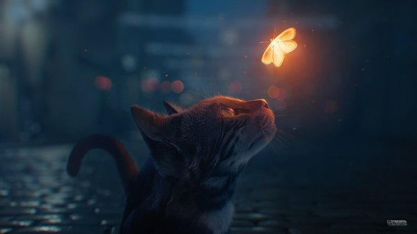Desktop Wallpapers HD Part (491)