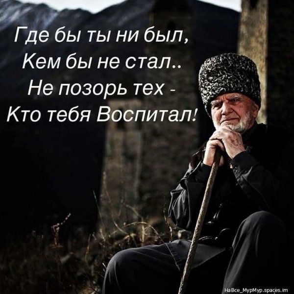 QPGvoivGl3s-
