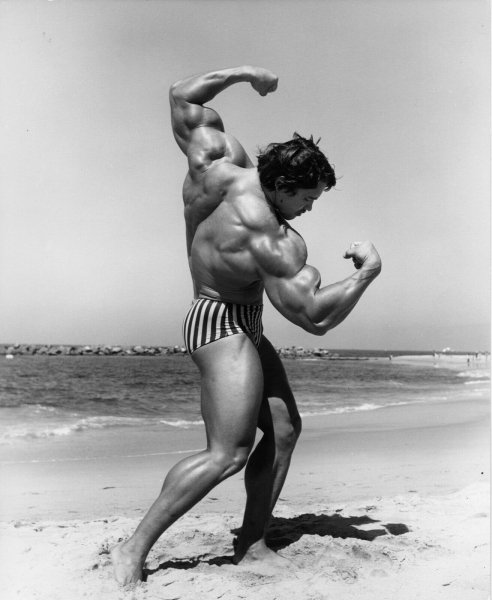 Arnold-Schwarzenegger-Iconic-Original-8X10-BW-Print 21