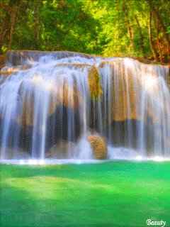 file_54731611
