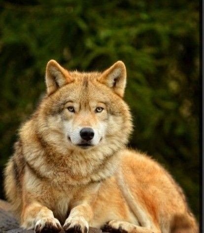 82efd43c53e2d63da4e4b1319a593432